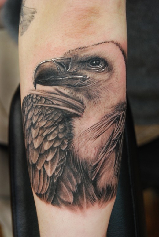 condor portrait by Shane ONeill: TattooNOW