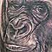 Tattoos - Gorrilla Tattoo - 35387