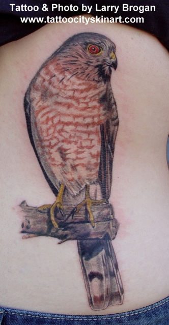 Red tailed hawk, done by Jennifer Rahman at Hunter Gatherer Tattoo in  Philadelphia, PA : r/tattoos