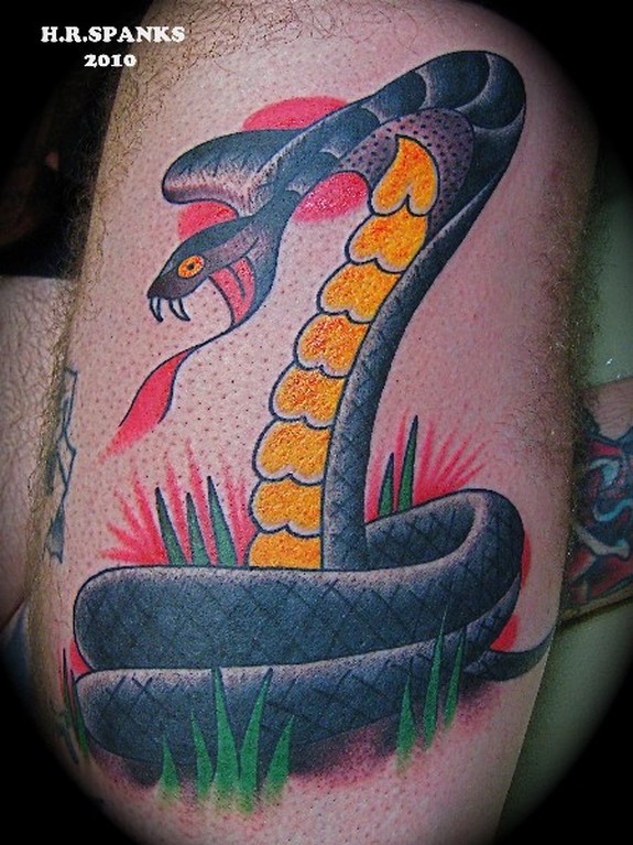 american traditional tattoo snake designs