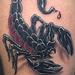 Tattoos - OEF Scorpion - 62246