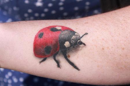 Tattoo uploaded by Monika Zak • Ladybug #ladybug #beetle #insect #botanical  • Tattoodo