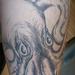 Tattoos - Black and Grey Octopus Tattoo - 63962