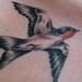 Tattoos - Swallow Tattoo  - 63965