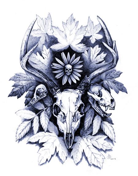 Art Galleries - Autumn Skulls - 108950