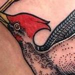 Tattoos - Bird tat - 109776