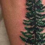 Tattoos - Pine tree - 110187