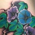 Tattoos - Morning glories - 111539