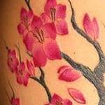 Tattoos - Cherry Blossom Tattoos - 117624