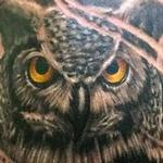 Tattoos - Owl Tattoo - 112308