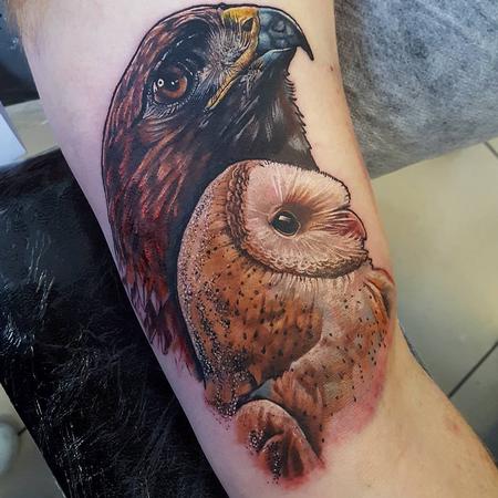 tattoos/ - Owl & Eagle - 119240