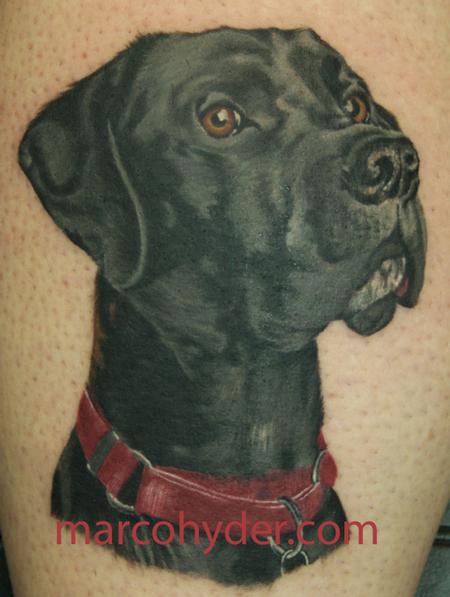 healedtattoo #labrador #petportrait #pettattoo #colored #petlovers  #dogsofinstagram #dogs #instadogs #dogstagram #tattoos #ink #inked #tattoo...  | By Manjeet TattoozFacebook