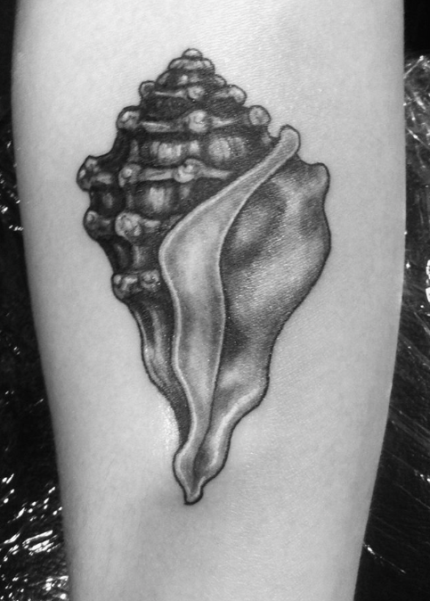 small conch tattoo