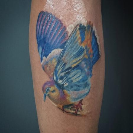 tattoos/ - Colourful Bird - 116385
