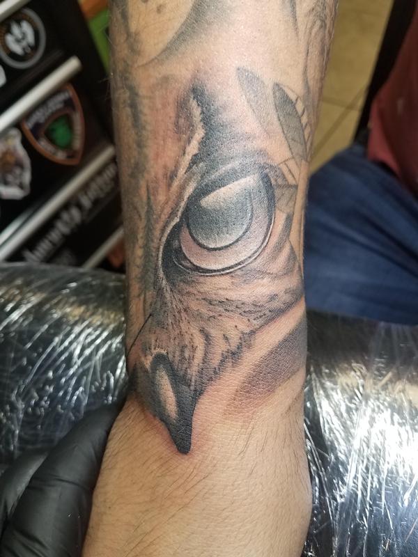 30 Best Owl  Triangle Eye Tattoos