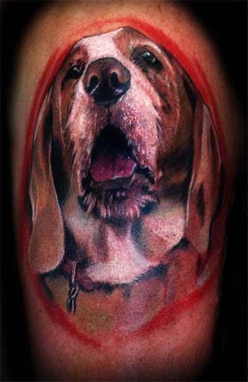 Basset Hound Tattoo Stock Vector Vector And Low Budget Royalty Free  Image Pic ESY015901109  agefotostock