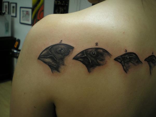 Darwin Tattoo by DeadDoormouse on DeviantArt