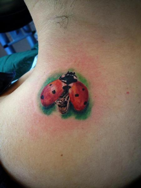 Fine Line Ladybug Tattoo | TikTok