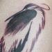 Tattoos - Crane - 70598