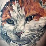 Tattoos - cat portrait - 108211