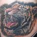 Tattoos - tiger head - 71776