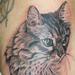 Tattoos - Portrait of a cat - 62823