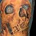 Tattoos - SKULL - 16658