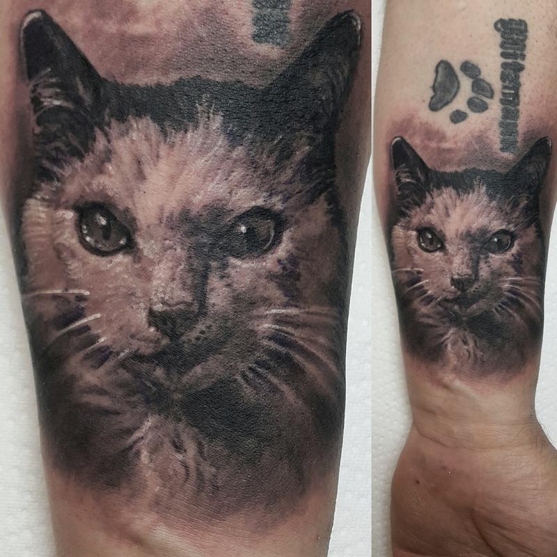 Download Cat Portrait Tattoo by Tommy Lee Wendtner: TattooNOW
