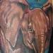 Tattoos - elephants - 98969