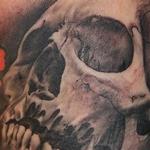 Tattoos - Inner arm skull - 100114