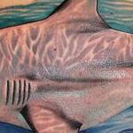 Tattoos - Bull Shark - 101047