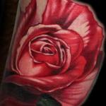 Tattoos - Red Rose - 101753