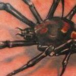 Tattoos - Black Widow - 108248