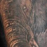 Tattoos - Elephant - 112038