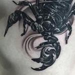 Tattoos - scorpion - 119072