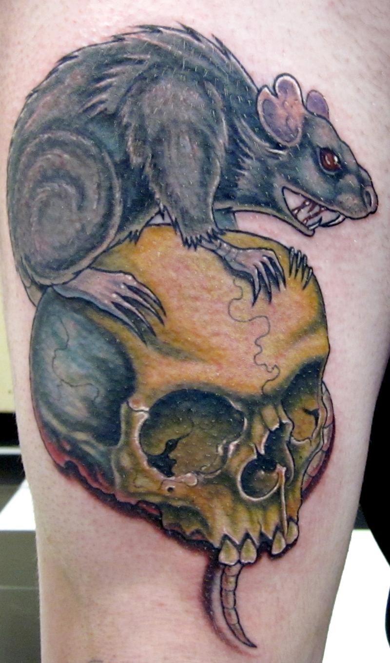 What do you folks think of my Death of Rats tattoo that I got done a few  days ago  Scrolller