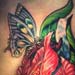 Tattoos - Iris and Butterfly - 14450