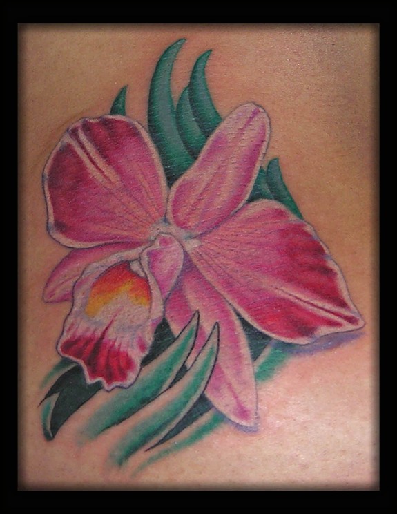 orchid cattleya tattoo stencil