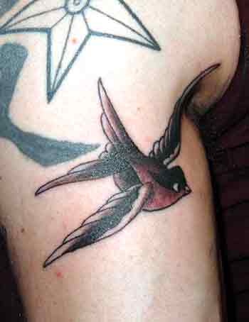 Old school sparrow shoulder tattoos - Sparrow Tattoo - Magnet | TeePublic