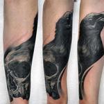 Tattoos - Raven and Skull Morph - 130839