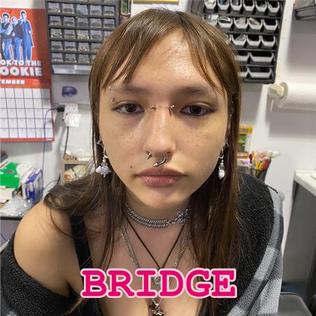 Terri Dawn PORTLAND & MADISON - Bridge