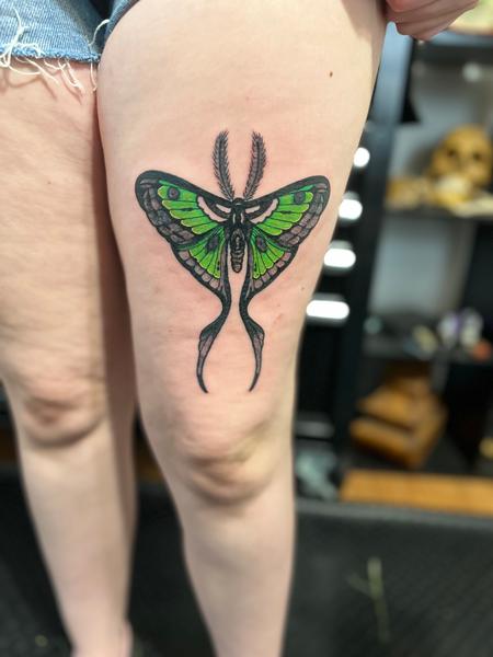 tattoos/ - Luna moth - 144218