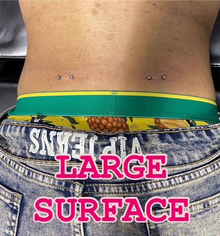 Terri Dawn PORTLAND & MADISON - Large surface