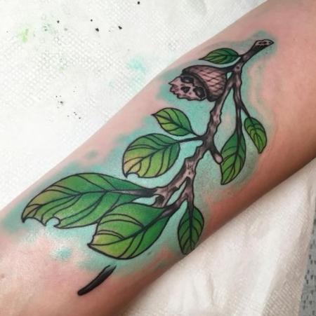 tattoos/ - Acorn leaves - 144947