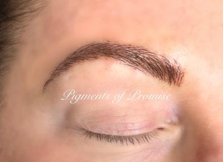 Promise Nevers (COSMETICS MADISON TN) - Brow4