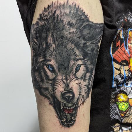 Sketch work wolf portrait tattoo on the thigh.