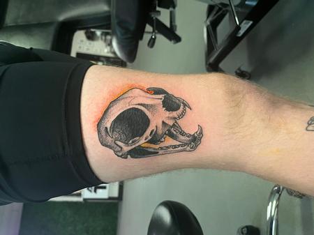 tattoos/ - Cat skull - 145960