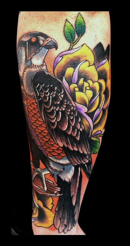 traditional hawk bird color roses brent olson art junkies ...