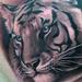 Tattoos - Tiger - 77152