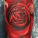 Tattoos - Rose - 79792